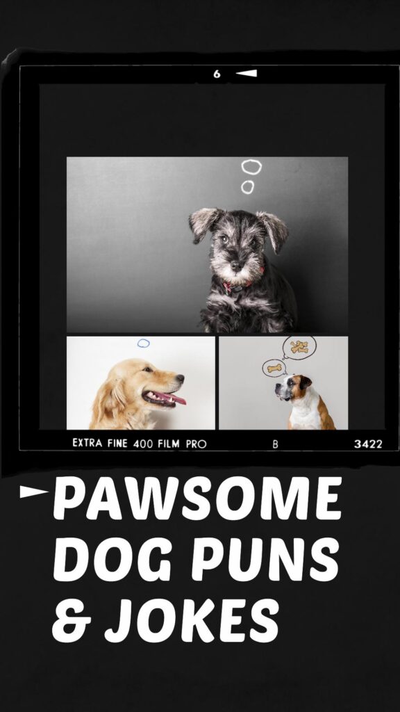 Funny Dog puns and Jokes