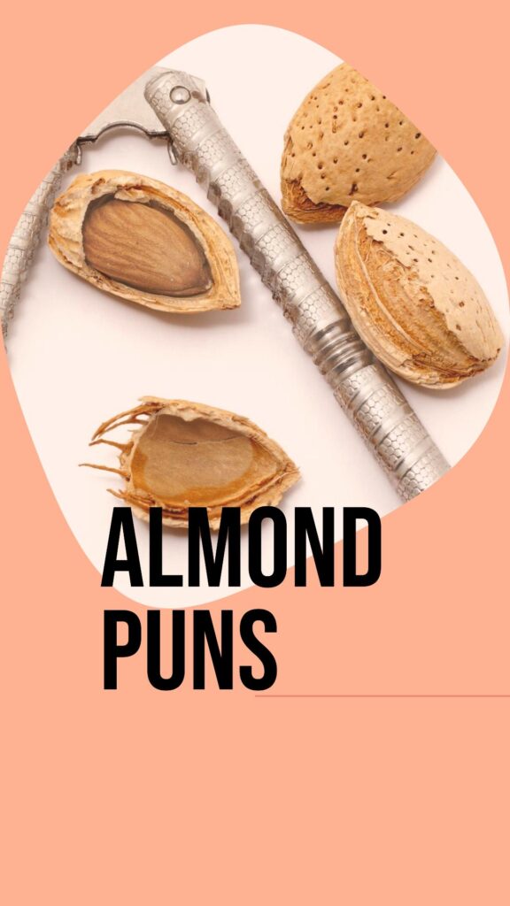 Go Nuts with These Hilarious 90 Almond Puns! - Best Jokes, Puns & Humor ...