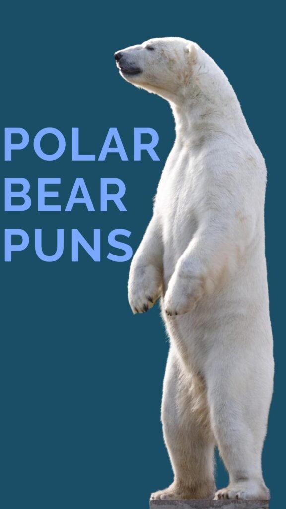 Polar Bear Puns