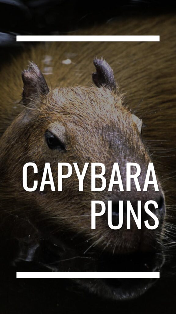 Capybara Puns