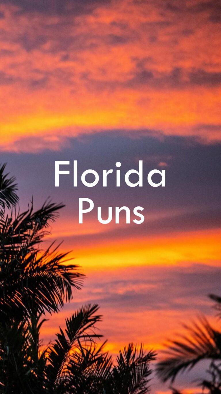 Sunshine and Laughter: 120 Florida Puns to Brighten Your Day - Find the ...