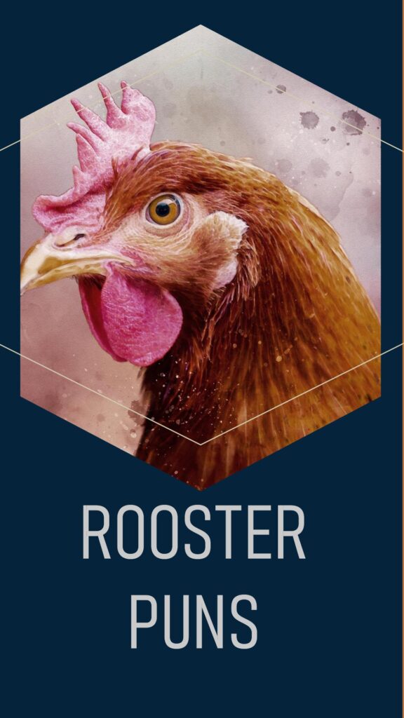 Rooster Puns