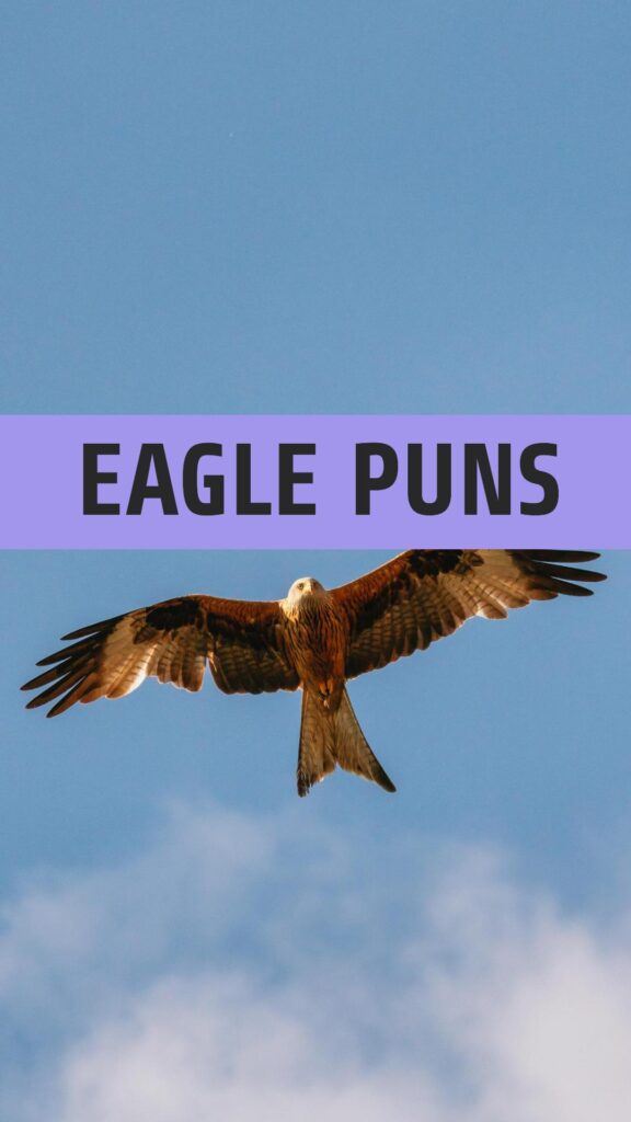 Eagle Puns