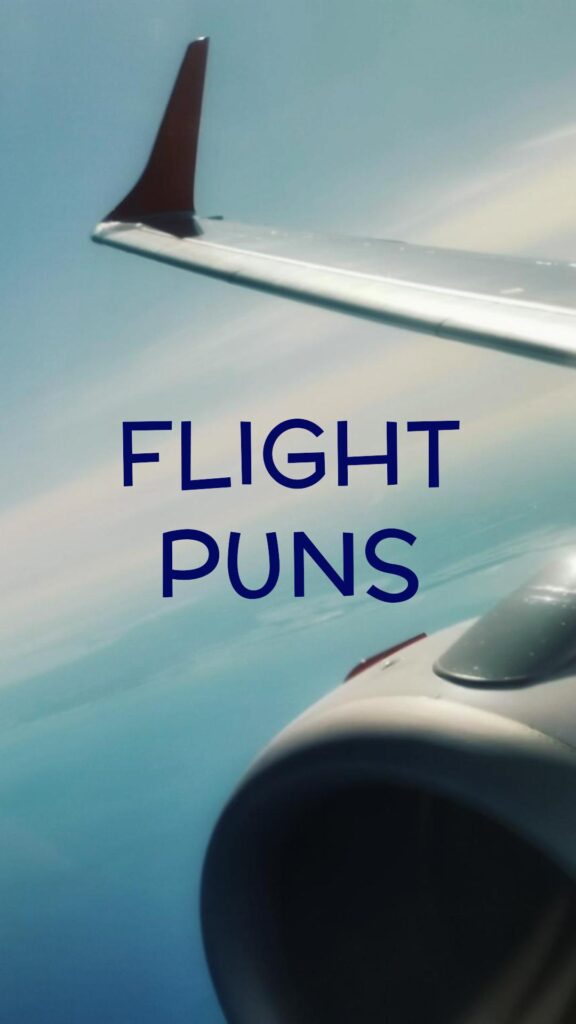 Flight puns and jokes