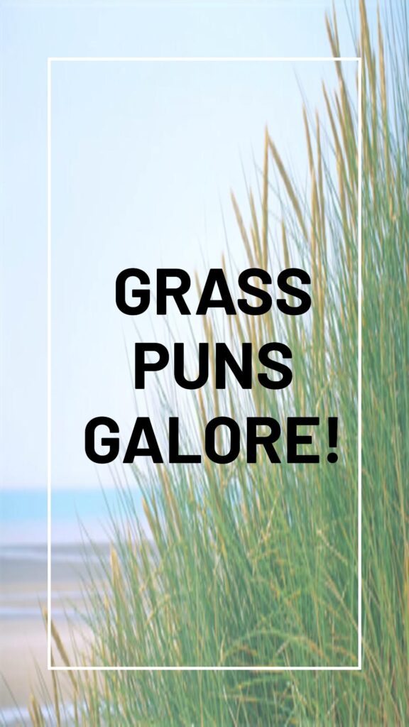 Grass Puns and jokes