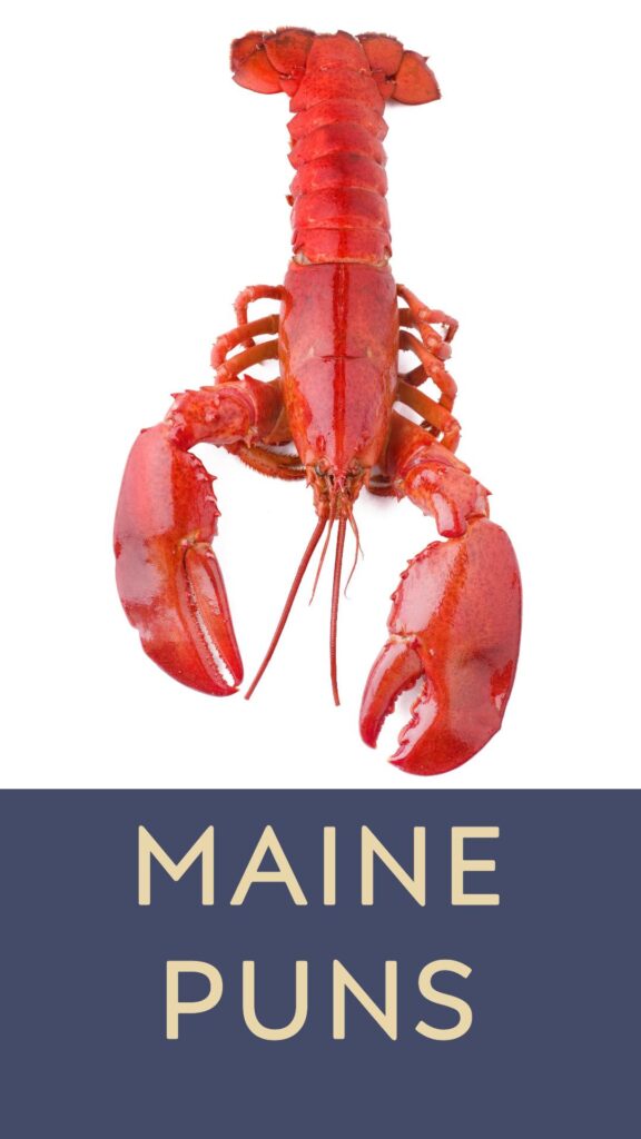 Maine Puns and jokes 