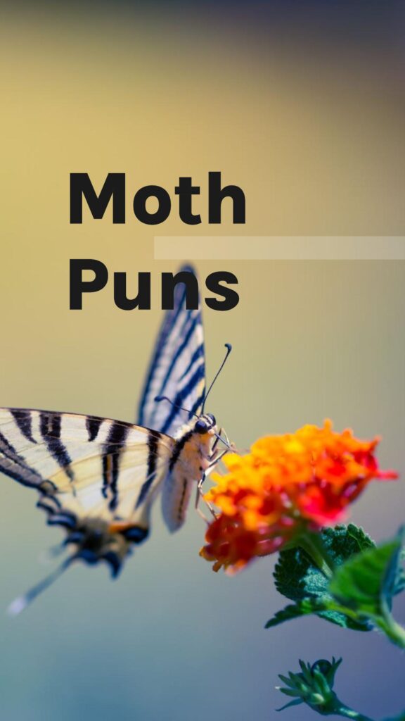 Moth Puns and jokes