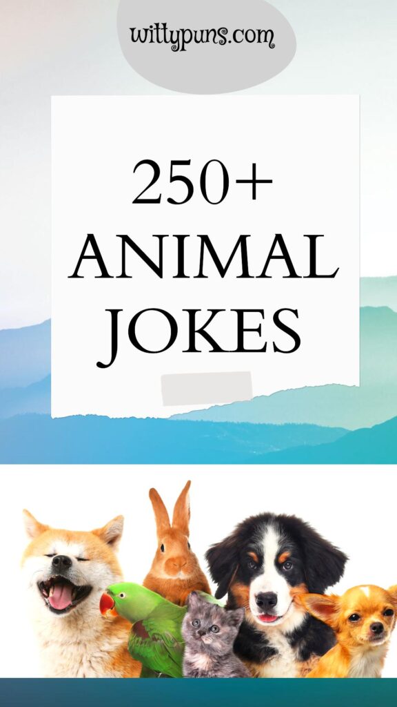 Funny Animal Jokes and Puns