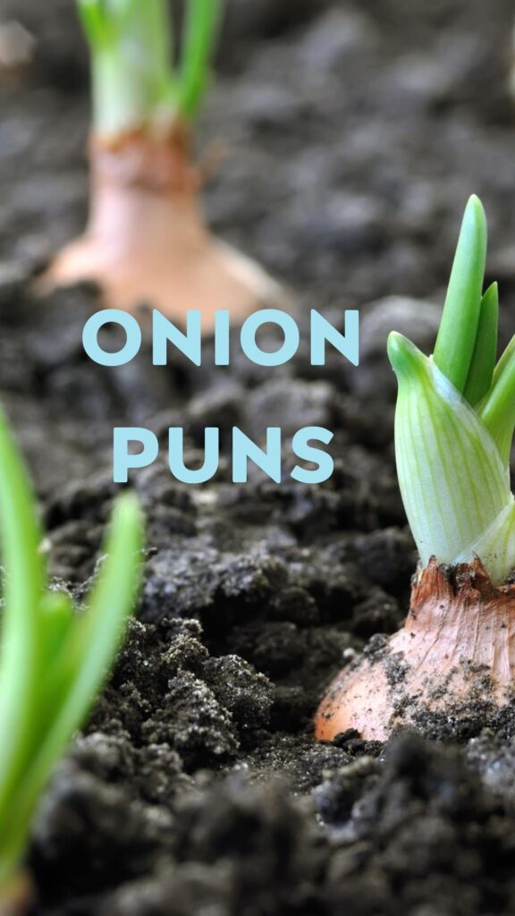 Onion Puns and Jokes