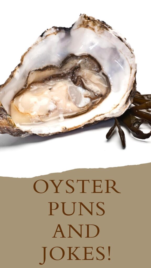 Oyster Puns & Jokes: 110 Shell-mazing Jokes for Seafood Fans - Best ...